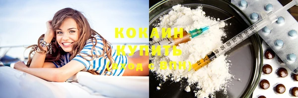 PSILOCYBIN Ельня
