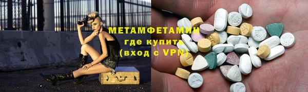 PSILOCYBIN Ельня