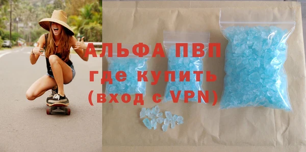 гидра Елабуга