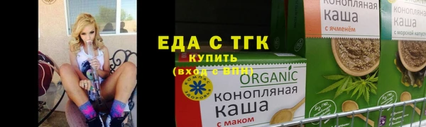 гидра Елабуга