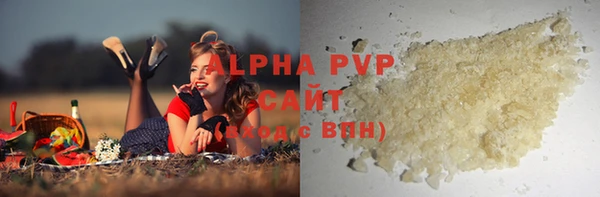 PSILOCYBIN Ельня