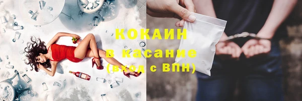 PSILOCYBIN Ельня