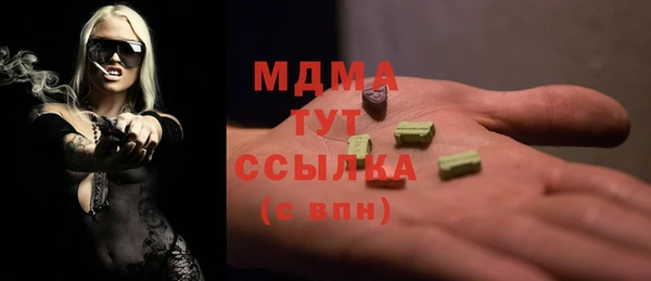 гидра Елабуга