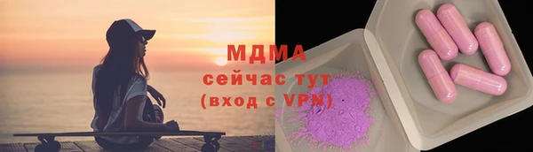 PSILOCYBIN Ельня