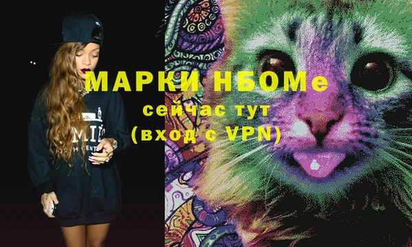 PSILOCYBIN Ельня