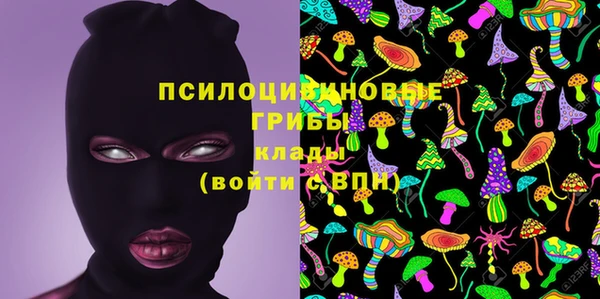 гидра Елабуга