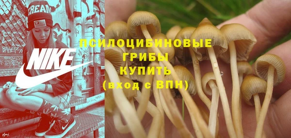 спиды Елизово