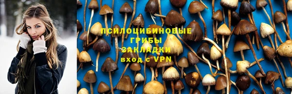 гидра Елабуга