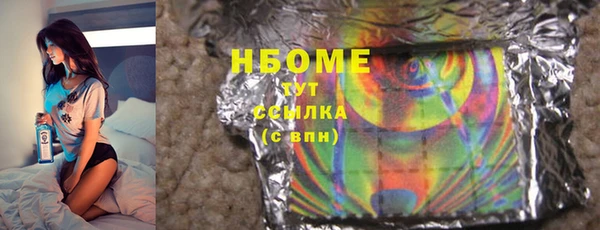 гидра Елабуга