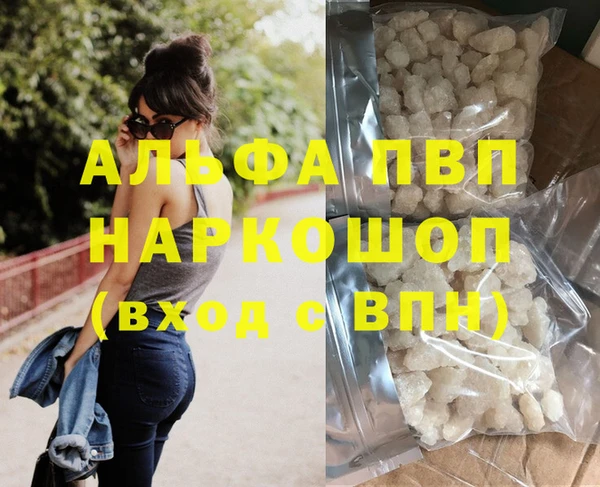 PSILOCYBIN Ельня
