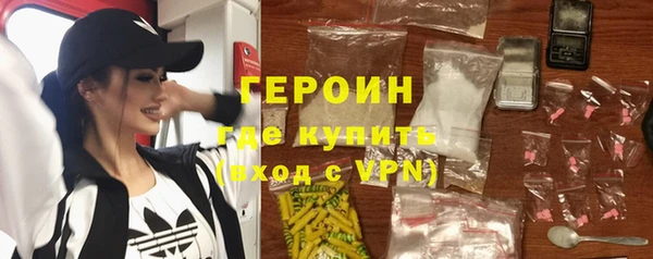 гидра Елабуга